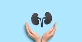 10 hábitos e exercícios para melhorar a saúde dos rins