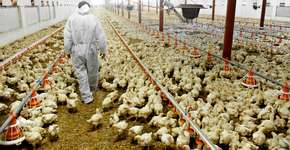 Foto: (roibu/istock)