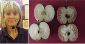 Usando maçãs, professora explica a alunos o que é bullying