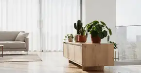 Foto: (Imagem sem texto alternativo disponivel ID [2754134])