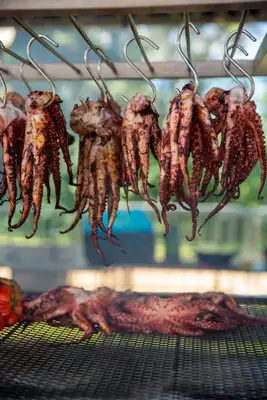 Mais do que um evento gastronômico, o Caminhos de Fogo se posiciona como um espaço de experimentação. É aquele tipo de rolê em que você prova algo novo, aprende sobre técnicas e ainda curte um clima leve, ao ar livre, cercado por gente que também ama comer bem