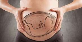 Foto: (Imagem sem texto alternativo disponivel ID [1119534])