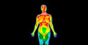 Foto: (AnitaVDB/istock)