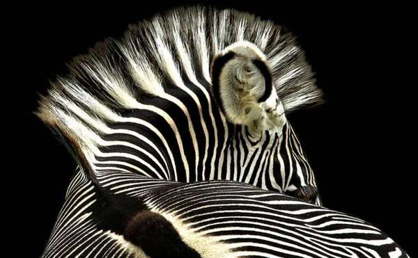 Foto: Sally Kilpin, vencedora na categoria 