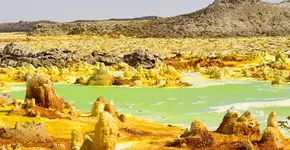 Foto: (guenterguni/istock)