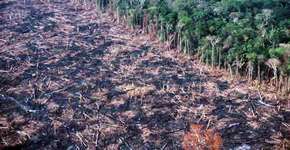 Foto: (Imagem sem texto alternativo disponivel ID [942057])