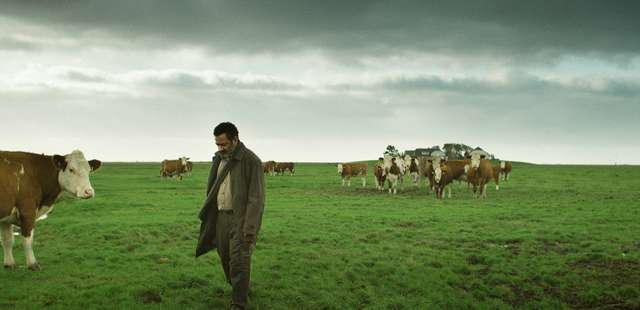 49ª Mostra Internacional de Cinema em São Paulo