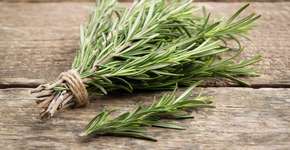 Foto: (Imagem sem texto alternativo disponivel ID [2596012])