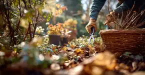 Cinco plantas que você deve podar em novembro para que floresçam com mais beleza