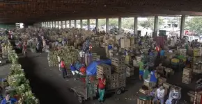 Greve dos caminhoneiros causa escassez de alimentos no RJ e em SP