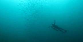 Foto: (Imagem sem texto alternativo disponivel ID [1541197])