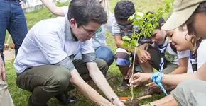 Jovem lidera projeto para plantar 1 trilhão de árvores em 30 anos