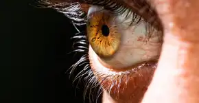 Foto: (iStock/Hasret Sonmez)