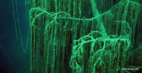 Foto: (Imagem sem texto alternativo disponivel ID [742054])