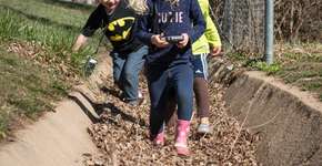 Foto: (Imagem sem texto alternativo disponivel ID [1609235])