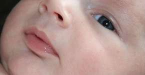 Foto: (Imagem sem texto alternativo disponivel ID [1835347])