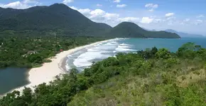 Hotel em Ubatuba oferece passeios pela Mata Atlântica