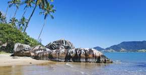 Litoral de SP tem 22 praias impróprias para banho; veja lista