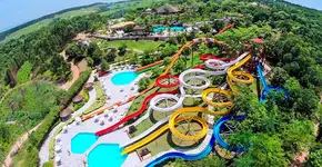 Foto: (Divulgação/Zarpo)