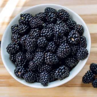 Featured mobile: Rica em antioxidantes: conheça os benefícios da amora para a saúde