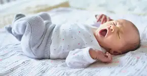 Foto: (encrier/istock)