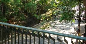 Caminhada e Relaxamento no Parque Trianon