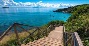 Foto: (Getty Images/iStockphoto)