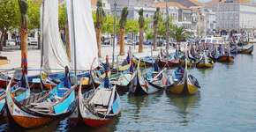 Foto: (Imagem sem texto alternativo disponivel ID [1492048])