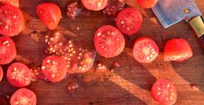 Entenda o que a semente de tomate tem a ver com pedras nos rins