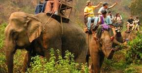 Foto: (Imagem sem texto alternativo disponivel ID [1066403])