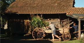 Foto: (Imagem sem texto alternativo disponivel ID [1862713])