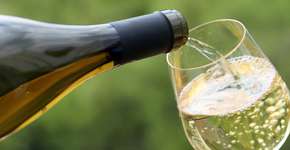 SP terá festival dedicado a espumantes e vinhos de verão