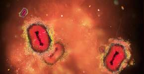 Foto: (Vertigo3d/istock)