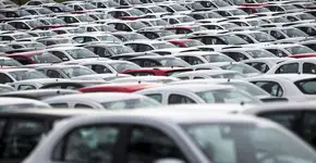 Foto: (Roosevelt Cassio/ Agência Brasil)