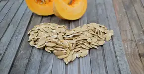 Foto: (Imagem sem texto alternativo disponivel ID [2624491])