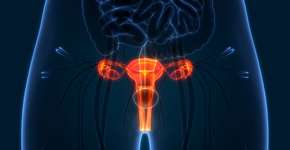 Câncer na vulva: como prevenir a doença que muitas vezes é silenciosa