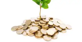 Empresário Bernardo Gradin acelera startups sustentáveis