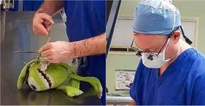 Médico opera brinquedo para fazer companhia à criança em hospital