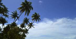 Foto: (Márcio Diniz/Catraca Livre)