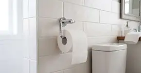 Muitos brasileiros penduram o papel higiênico incorretamente: A direção correta do suporte de papel higiênico para evitar germes e poeira, na verdade, é