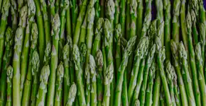 Aspargo: os principais benefícios desse vegetal para o bem-estar