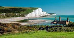 Foto: (Rachapol/iStock)