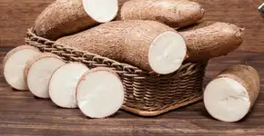 10 motivos para adicionar a mandioca à dieta