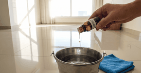 Foto: (Imagem sem texto alternativo disponivel ID [2751452])