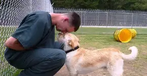 Detentos nos EUA adestram cães que seriam sacrificados por comportamento violento