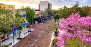 Muito além dos parques: arredores de Orlando como você nunca viu