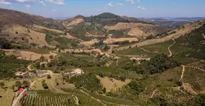 No sul de Minas, Ilicínea oferece experiências únicas a visitantes