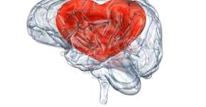 Remédio testado contra colesterol também previne AVC e infarto