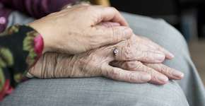 Instituto Jô Clemente lança plataforma de cursos on-line