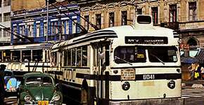 Foto: (Imagem sem texto alternativo disponivel ID [357458])